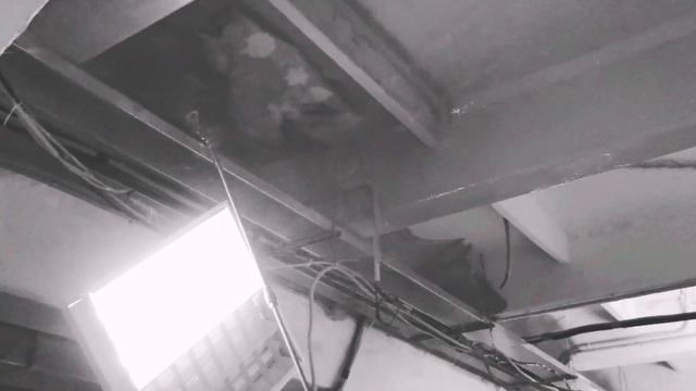 Окраска потолка Белинского-61 Verhoturann.ru 89087632511 89527728032 Иван смотреть онлайн