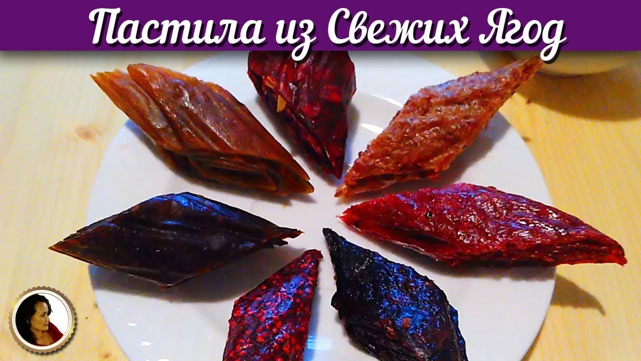 Пастила из свежих ягод. Пастила из сливы смородины малины калины в сушилке смотреть онлайн