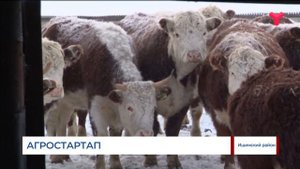 Ишимские участники программы «Агростартап»