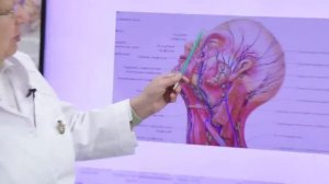 ИЗ ЗА ЧЕГО ПРОИСХОДЯТ НАРУШЕНИЯ В ЗРИТЕЛЬНОЙ СИСТЕМЕ. [Шишова О.И.]