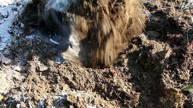 ПЕРВАЯ ПОДКОРМКА ОВОЩНЫХ КУЛЬТУР