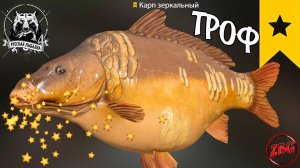 КАРП ЗЕРКАЛЬНЫЙ ТРОФЕЙНЫЙ ( ТРОФ ) оз. ЯНТАРНОЕ ⭐ РУССКАЯ РЫБАЛКА 4 | RUSSIAN FISHING 4 @Z-B-G