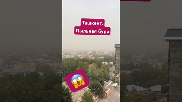 Ташкент. Пыльная буря в Ташкенте #ташкент #узбекистан