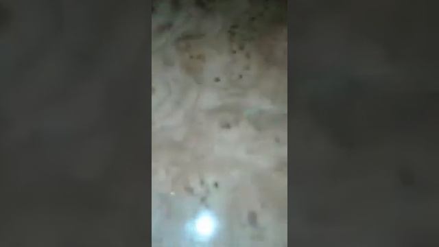 Ярче конфетінен құрттар шықты смотреть онлайн