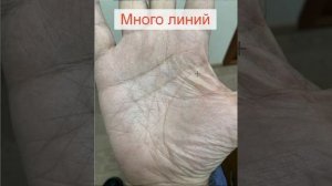Хиромантия. Что если много линий на ладонях?