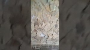 Геленджик,комплекс «Солнечная», г Геленджик, ул Туристическая, д 19