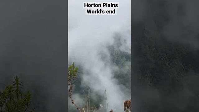 Wait till the clouds shift … | Horton Plains | World’s End #short