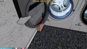Open Door Spin on Roblox WashWare *EXPERIMENT*
