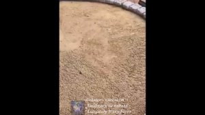 Лайфхак. Монтаж плитки на крыльце