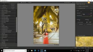 How to  pro contrast   effect  Nik Collection  in Photoshop CC#Camera_Raw