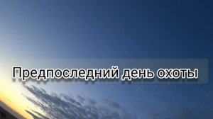 Гусиное эльдорадо. Охота на гуся в Казахстане 2021 года. goose hanting