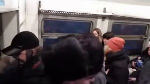Баянист Виртуоз в Одинцовской электричке Сергей Ивлев