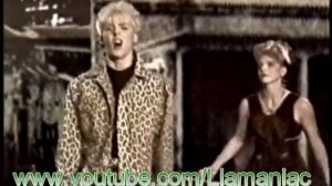 Celebrate The Nun - Ordinary Town