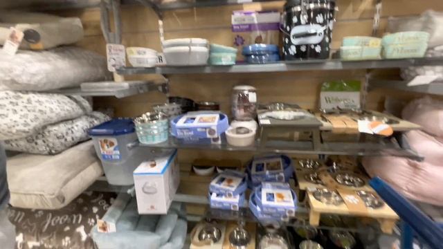 Едем по магазинам за всем необходимым для щенка смотреть онлайн