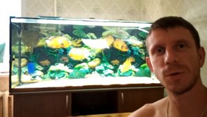 покупка 5кг креветок кормление креветками хищную аквариумную рыбу