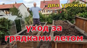 Уход за высокими грядками летом