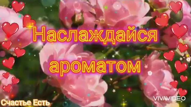 С Добрым Утром! ???Пусть пройдёт твой день удачно! ?☕ Позитивного и Счастливого Дня! ??? смотреть онлайн