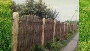 Изгородь из ивы своими руками