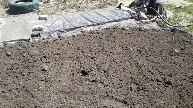 Клумба ёлочка.