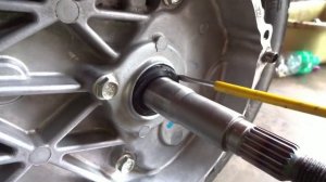 How to change crank oil seal and clutch shaft seal Honda dio