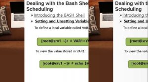 133- RHCSA Linux : Module 4 : Introducing the BASH Shell | Setting and Unsetting Variables