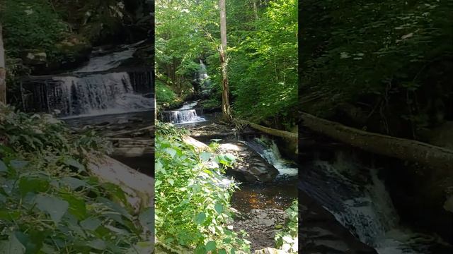 Rickett's Glen Falls Trail, Benton, PA 9/10/22