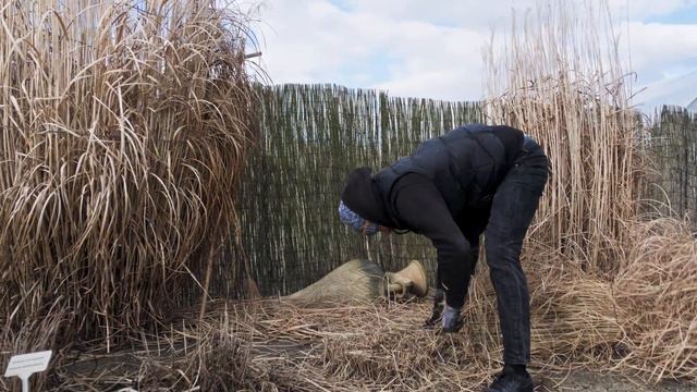 Art of plants - kolejny początek | Wiosenne prace ogrodowe смотреть онлайн