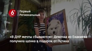 «В ДНР мечты сбываются»: Девочка из Енакиева получила щенка в подарок от Путина