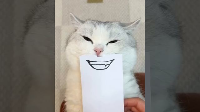 Веселим деток