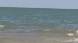 Бухара тудакул