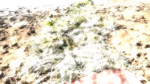 Отдых в г. АТЫРАУ 2022 смотреть онлайн