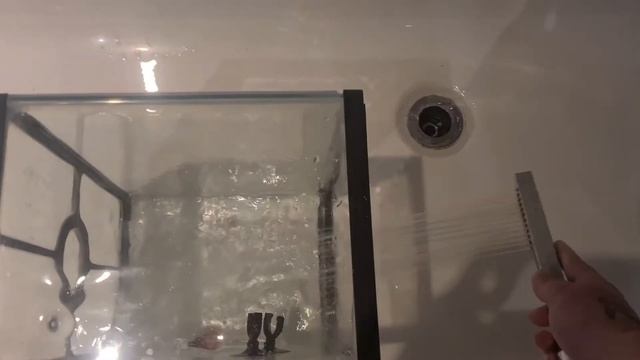 ВЛОГ ИЗ Англии. самый дорогой спорт зал.и... Аксолотль. смотреть онлайн