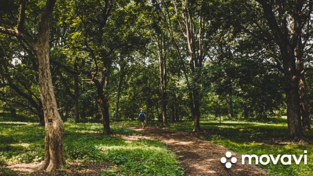 Спокойная музыка для отдыха, раслобления , спокойствие, релаксации смотреть онлайн