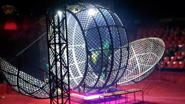 ЦИРК БЕЗ ЖИВОТНЫХ | ШОУ КОРОНА Олега Плахтеева в Ярославле (2022)