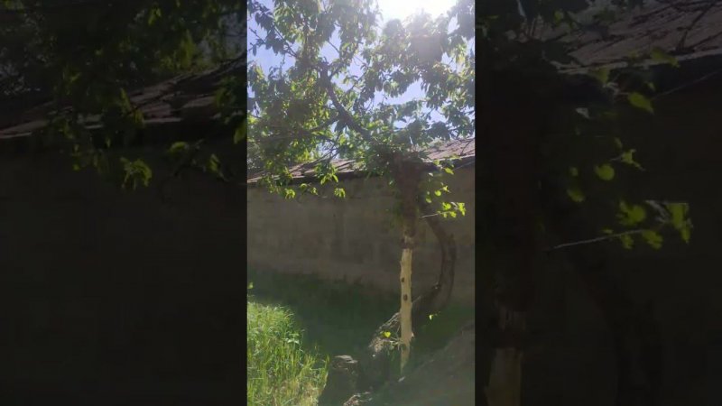 на даче 2 мая 2021г