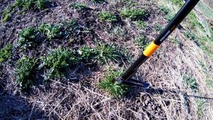 Удалитель сорняков Fiskars. проба 2