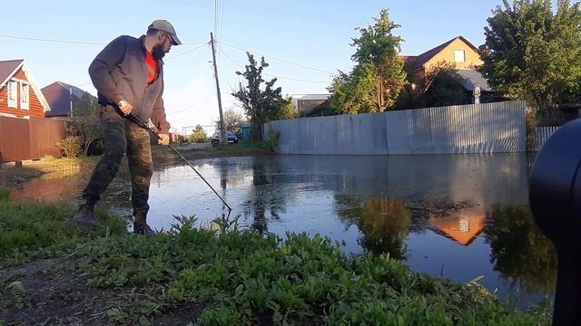 Как ловить Циклоп и Дафнию в открытых водоемах смотреть онлайн
