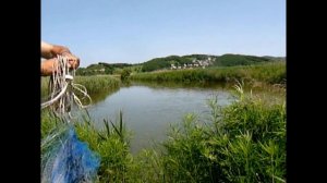 кастинговая сеть ловля сазана СУПЕР улов