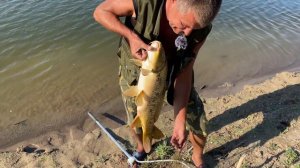 Такая рыбалка на Ахтубе! Сазан на макуху 2021 !