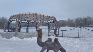 На родине день 7