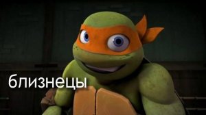 Кто ты из черепашек-ниндзя по знаку зодиака?