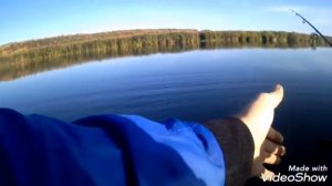 Щука осенью