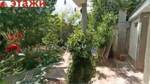 Два дома на участке в пгт Новофедоровка Сакского р-на Крым. Ждем звонка +79780990029