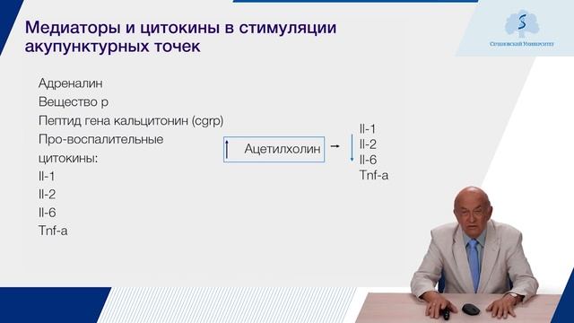 Интегративная медицина