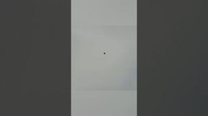 Голуби г. Пятигорск+7 918 745-40-08 Ставропольский край