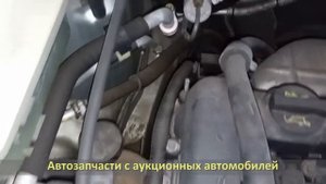 MAZDA TRIBUTE (МАЗДА ТРИБУТ) / Контрактный двигатель L3-VE, EP3W
