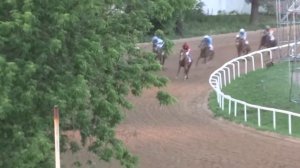 Скачки на приз Президента 2014 Московский Ипподром - скачка 5 - приз Ипподрома ЦМИ