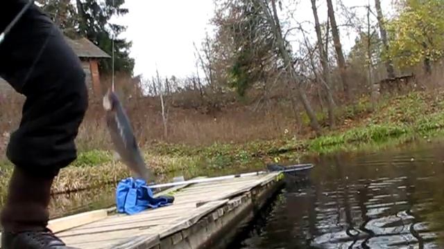 Прудовая форель , на резину смотреть онлайн