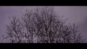 ОБЗОР SONY A6000 ЛУЧШАЯ КАМЕРА