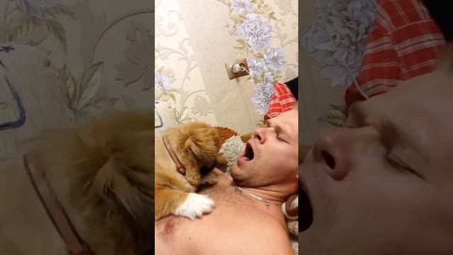 Зев- заразительная штука смотреть онлайн